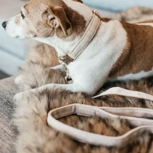 Kentucky Dogwear Wool Dog Lead - Beige
