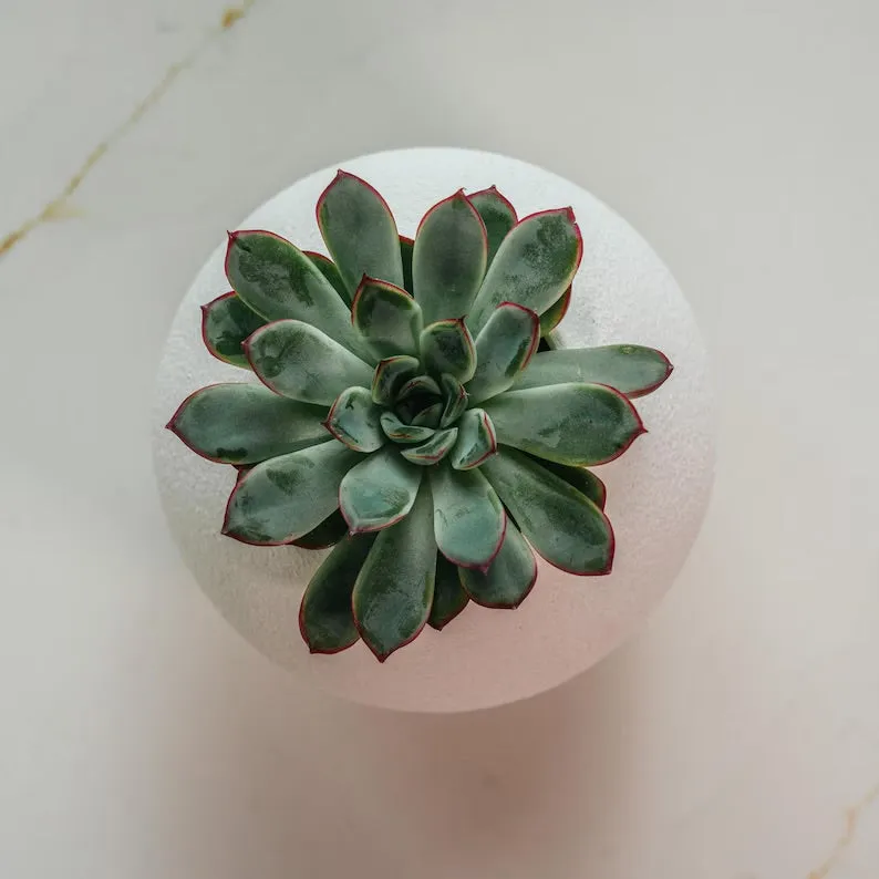 'The Wobble Pot' - A self balancing plant pot from Sliced Earth